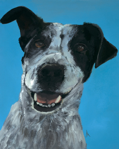 Blue Heeler, Happiness Is,  Dog, Art, Pet, Portrait, Fine Art, Oil, Painting, Custom, Commission Your Own, Happiness Is, 
 The "Happiness is" series title is derived from the classic "Peanuts" comic strip statement 'Happiness is a warm puppy'. I began the series creating gifts of dog portraits of family and friends' furry companions. Now many of the paintings are available as canvas prints, reproductions start at $50 and magnets of your favs are just $3. Ideal for homes and the lobbies and interiors of any animal related business (vet clinics, grooming, boarding, supplies etc) or organization (aspca, humane society, rescues, shelters, etc). A portion of each print sale goes to no-kill shelters and rescues to help animals find their people. If anyone is of interest in learning more about what we can do for their space just contact me.