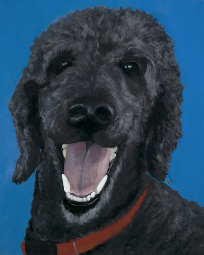 Standard Poodle, Happiness Is,  Dog, Art, Pet, Portrait, Fine Art, Oil, Painting, Custom, Commission Your Own, Happiness Is, 
 The "Happiness is" series title is derived from the classic "Peanuts" comic strip statement 'Happiness is a warm puppy'. I began the series creating gifts of dog portraits of family and friends' furry companions. Now many of the paintings are available as canvas prints, reproductions start at $50 and magnets of your favs are just $3. Ideal for homes and the lobbies and interiors of any animal related business (vet clinics, grooming, boarding, supplies etc) or organization (aspca, humane society, rescues, shelters, etc). A portion of each print sale goes to no-kill shelters and rescues to help animals find their people. If anyone is of interest in learning more about what we can do for their space just contact me.
