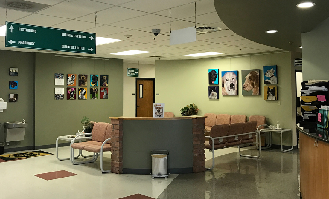Selections from the series' Happiness Is (dogs) and Nine Lives (cats) are on display in the Lobby of the ​Colorado State University Veterinary Teaching Hospital​ in Fort Collins thru December 31st.