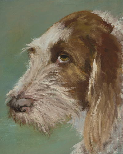 Spinone Italiano, Happiness Is,  Dog, Art, Pet, Portrait, Fine Art, Oil, Painting, Custom, Commission Your Own, Happiness Is, 
 The "Happiness is" series title is derived from the classic "Peanuts" comic strip statement 'Happiness is a warm puppy'. I began the series creating gifts of dog portraits of family and friends' furry companions. Now many of the paintings are available as canvas prints, reproductions start at $50 and magnets of your favs are just $3. Ideal for homes and the lobbies and interiors of any animal related business (vet clinics, grooming, boarding, supplies etc) or organization (aspca, humane society, rescues, shelters, etc). A portion of each print sale goes to no-kill shelters and rescues to help animals find their people. If anyone is of interest in learning more about what we can do for their space just contact me.