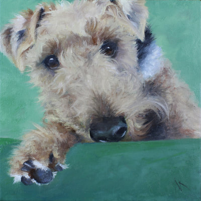 Welsh Terrier, Happiness Is,  Dog, Art, Pet, Portrait, Fine Art, Oil, Painting, Custom, Commission Your Own, Happiness Is, 
 The "Happiness is" series title is derived from the classic "Peanuts" comic strip statement 'Happiness is a warm puppy'. I began the series creating gifts of dog portraits of family and friends' furry companions. Now many of the paintings are available as canvas prints, reproductions start at $50 and magnets of your favs are just $3. Ideal for homes and the lobbies and interiors of any animal related business (vet clinics, grooming, boarding, supplies etc) or organization (aspca, humane society, rescues, shelters, etc). A portion of each print sale goes to no-kill shelters and rescues to help animals find their people. If anyone is of interest in learning more about what we can do for their space just contact me.