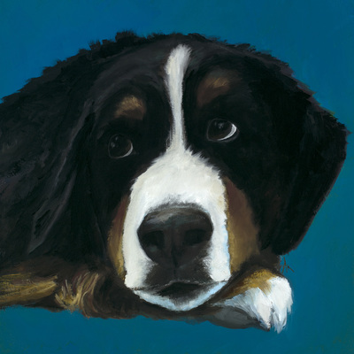 Bernese, Happiness Is,  Dog, Art, Pet, Portrait, Fine Art, Oil, Painting, Custom, Commission Your Own, Happiness Is, 
 The "Happiness is" series title is derived from the classic "Peanuts" comic strip statement 'Happiness is a warm puppy'. I began the series creating gifts of dog portraits of family and friends' furry companions. Now many of the paintings are available as canvas prints, reproductions start at $50 and magnets of your favs are just $3. Ideal for homes and the lobbies and interiors of any animal related business (vet clinics, grooming, boarding, supplies etc) or organization (aspca, humane society, rescues, shelters, etc). A portion of each print sale goes to no-kill shelters and rescues to help animals find their people. If anyone is of interest in learning more about what we can do for their space just contact me.