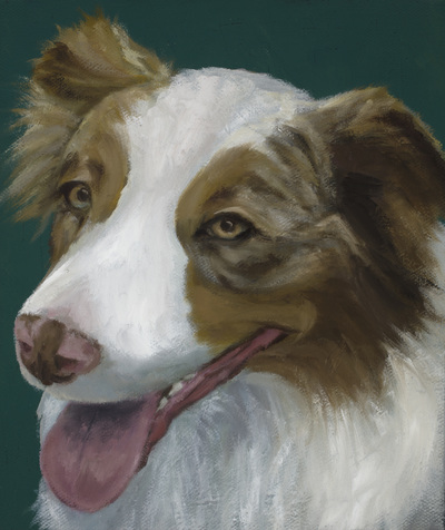 Aussie, Happiness Is,  Dog, Art, Pet, Portrait, Fine Art, Oil, Painting, Custom, Commission Your Own, Happiness Is, 
 The "Happiness is" series title is derived from the classic "Peanuts" comic strip statement 'Happiness is a warm puppy'. I began the series creating gifts of dog portraits of family and friends' furry companions. Now many of the paintings are available as canvas prints, reproductions start at $50 and magnets of your favs are just $3. Ideal for homes and the lobbies and interiors of any animal related business (vet clinics, grooming, boarding, supplies etc) or organization (aspca, humane society, rescues, shelters, etc). A portion of each print sale goes to no-kill shelters and rescues to help animals find their people. If anyone is of interest in learning more about what we can do for their space just contact me.