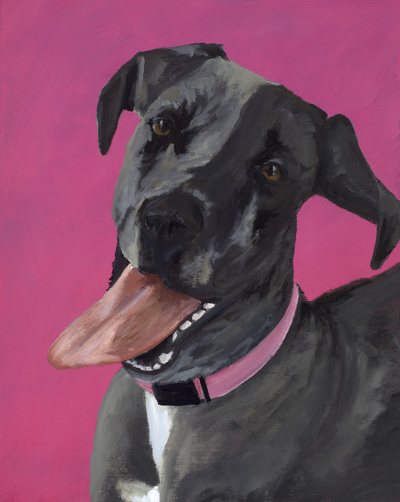 Great Dane, Happiness Is,  Dog, Art, Pet, Portrait, Fine Art, Oil, Painting, Custom, Commission Your Own, Happiness Is, 
 The "Happiness is" series title is derived from the classic "Peanuts" comic strip statement 'Happiness is a warm puppy'. I began the series creating gifts of dog portraits of family and friends' furry companions. Now many of the paintings are available as canvas prints, reproductions start at $50 and magnets of your favs are just $3. Ideal for homes and the lobbies and interiors of any animal related business (vet clinics, grooming, boarding, supplies etc) or organization (aspca, humane society, rescues, shelters, etc). A portion of each print sale goes to no-kill shelters and rescues to help animals find their people. If anyone is of interest in learning more about what we can do for their space just contact me.
