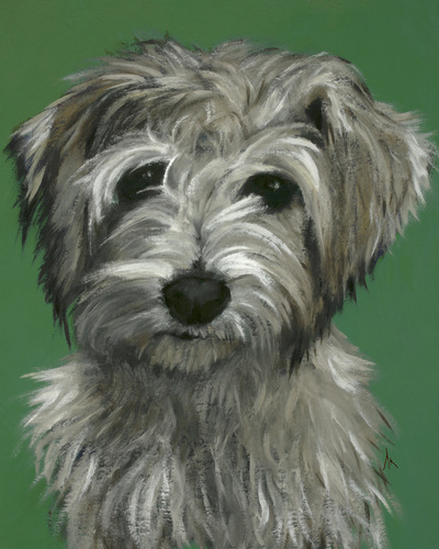 Schnoodle, Happiness Is,  Dog, Art, Pet, Portrait, Fine Art, Oil, Painting, Custom, Commission Your Own, Happiness Is, 
 The "Happiness is" series title is derived from the classic "Peanuts" comic strip statement 'Happiness is a warm puppy'. I began the series creating gifts of dog portraits of family and friends' furry companions. Now many of the paintings are available as canvas prints, reproductions start at $50 and magnets of your favs are just $3. Ideal for homes and the lobbies and interiors of any animal related business (vet clinics, grooming, boarding, supplies etc) or organization (aspca, humane society, rescues, shelters, etc). A portion of each print sale goes to no-kill shelters and rescues to help animals find their people. If anyone is of interest in learning more about what we can do for their space just contact me.