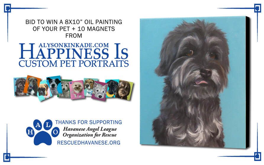 Bid to Win a 8x10” oil painting  of your pet + 10 magnets from the Happiness Is Series. Online Auction begins October 14th. (Stay tuned for links) HALO is an all-volunteer Havanese rescue group and our mission is to rescue and find good homes for Havanese in need. 100% of the funds we raise will be used to provide vet care for our rescues.  Over our 21 year history, we have rescued over 1,500 Havanese. The online auction is our largest fundraiser each year and allows us to provide top quality vet care for our rescues. Thank you for supporting the Havanese Angel League Organization for Rescue.