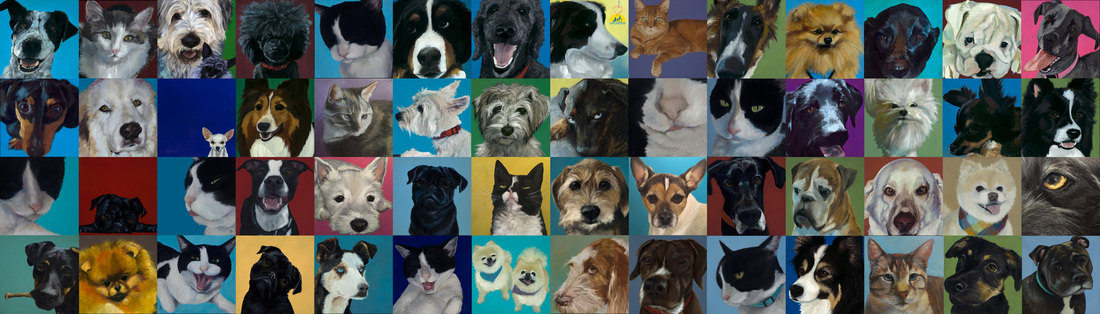 Selections from the Alyson Kinkade Fine Art series Happiness Is on display at the ​Colorado State University Veterinary Teaching Hospital