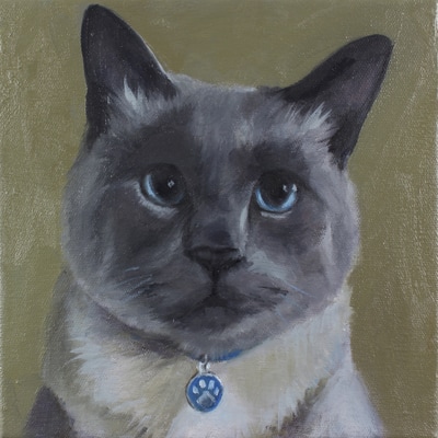 Cat, Portrait, Commision Your Own, Pet Portrait, Cat ARt, Oil, Painting, Kitten, Calico, Grey, Tabby, Orange, Siamese, Black, White, Tuxedo, Cats, Nine Lives, American, Shorthair, Long Hair, The "Nine Lives" series began after creating a number of dog portraits of family and friends' furry companions. Even my own cat was feeling left out, so I am catching up with a feline series. Most of the paintings are available as quality canvas prints, reproductions start at $50 and magnets of your favs are just $3. Ideal for homes and the lobbies and interiors of any animal related business (vet clinics, grooming, boarding, supplies etc) or organization (aspca, humane society, rescues, shelters, etc). A portion of each print sale goes to no-kill shelters and rescues to help animals find their people. If anyone is of interest in learning more about what we can do for their space just contact me.