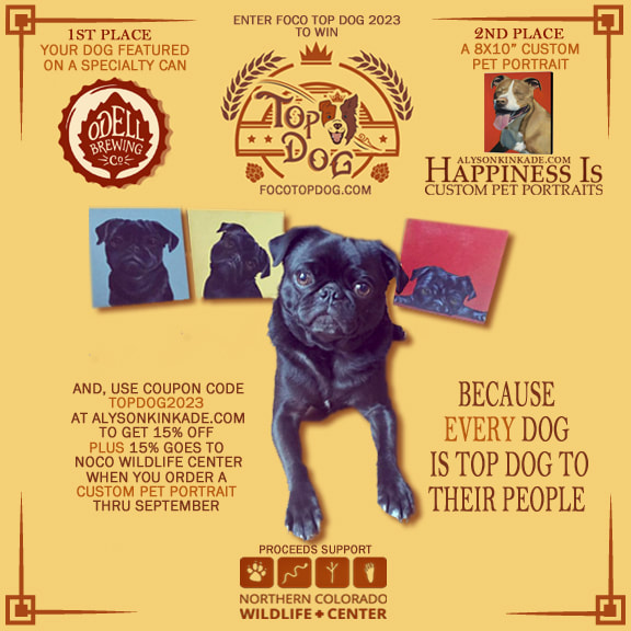 Use coupon code TopDog2023 to get 15% off plus 15% goes to NoCo Wildlife Center thru September Register your dog to be Top Dog for a chance to be on an Odell Brewing Co can. 2nd Place wins a Happiness Is custom pet portrait. Proceeds support ​NoCo Wildlife Center  ​Big News Fort Collins! Not only does the Top Dog get to have their photo forever enshrined on the can of a specialty Odell beer, but 2nd Place at the September 24th event will get a certificate for one Happiness Is Custom Pet Portrait painted by Alyson Kinkade Fine Art!  I'm happy to donate to this fun fundraiser because 100% of the donations go to the Northern Colorado Wildlife Center. They do incredible work for the community to help educate about and care for wildlife in need. CLICK HERE TO LEARN MORE   The donation period will close August 31, 2023 at midnight - CLICK HERE TO CONTRIBUTE TO YOUR FAVORITE DOG this is your chance to help pick Fort Collins' Top Dog!  The Top Dog will be selected from the top 16 contestants at the in-person event on September 24, 2023. There will be a series of fun mini-events to determine the winner. CLICK HERE FOR EVENT DETAILS 